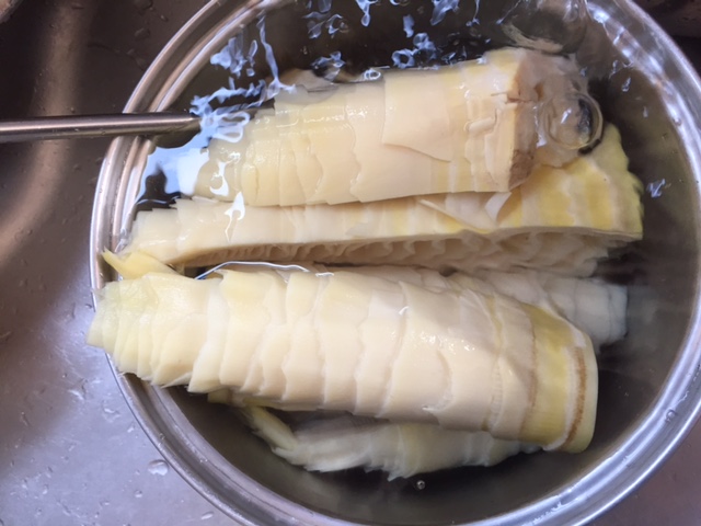 タケノコ