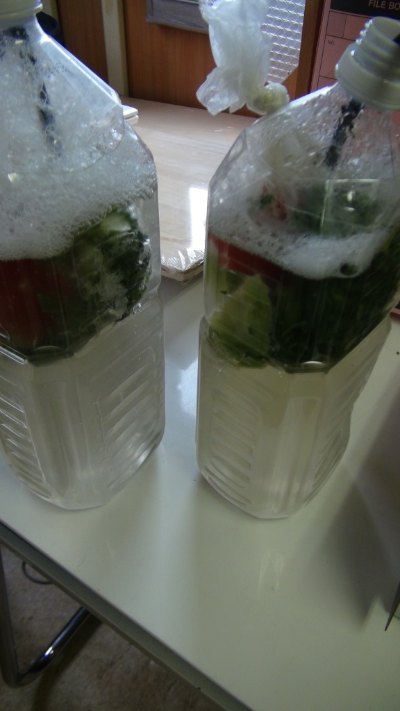 液肥づくりスタート時の様子